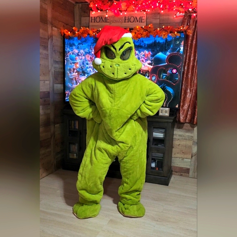 The Grinch Costume